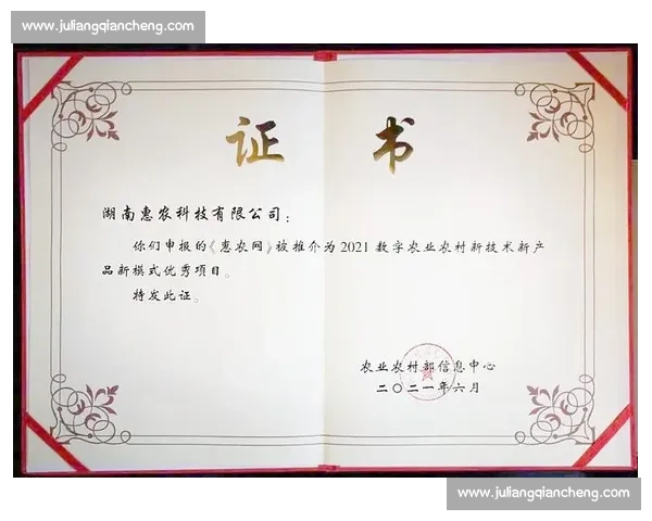 围绕vs8556芯片应用前景与创新技术方向深度解析趋势研究概述